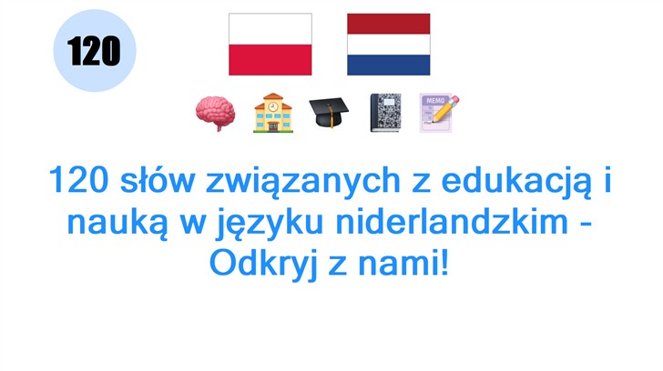 120 słów związanych z edukacją i nauką w języku niderlandzkim - Odkryj z nami!